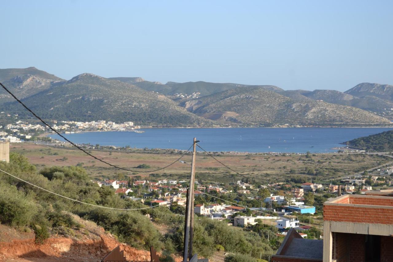 "Stergiou Luxury Apartments" Με Κοινη Πισινα Saronida Exterior photo